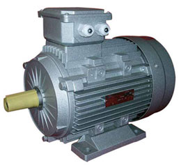 Induction motor